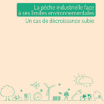 cover publication etude #45 peche industrielle